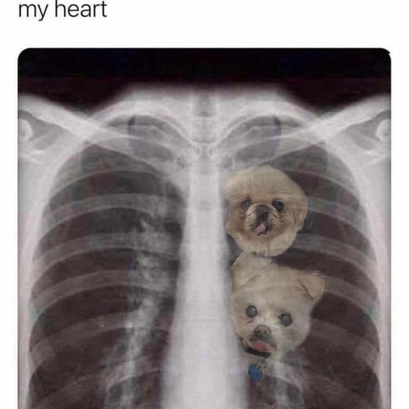 🌟❤️JEFFERSON❤️🌟 - Picture 12 of 13